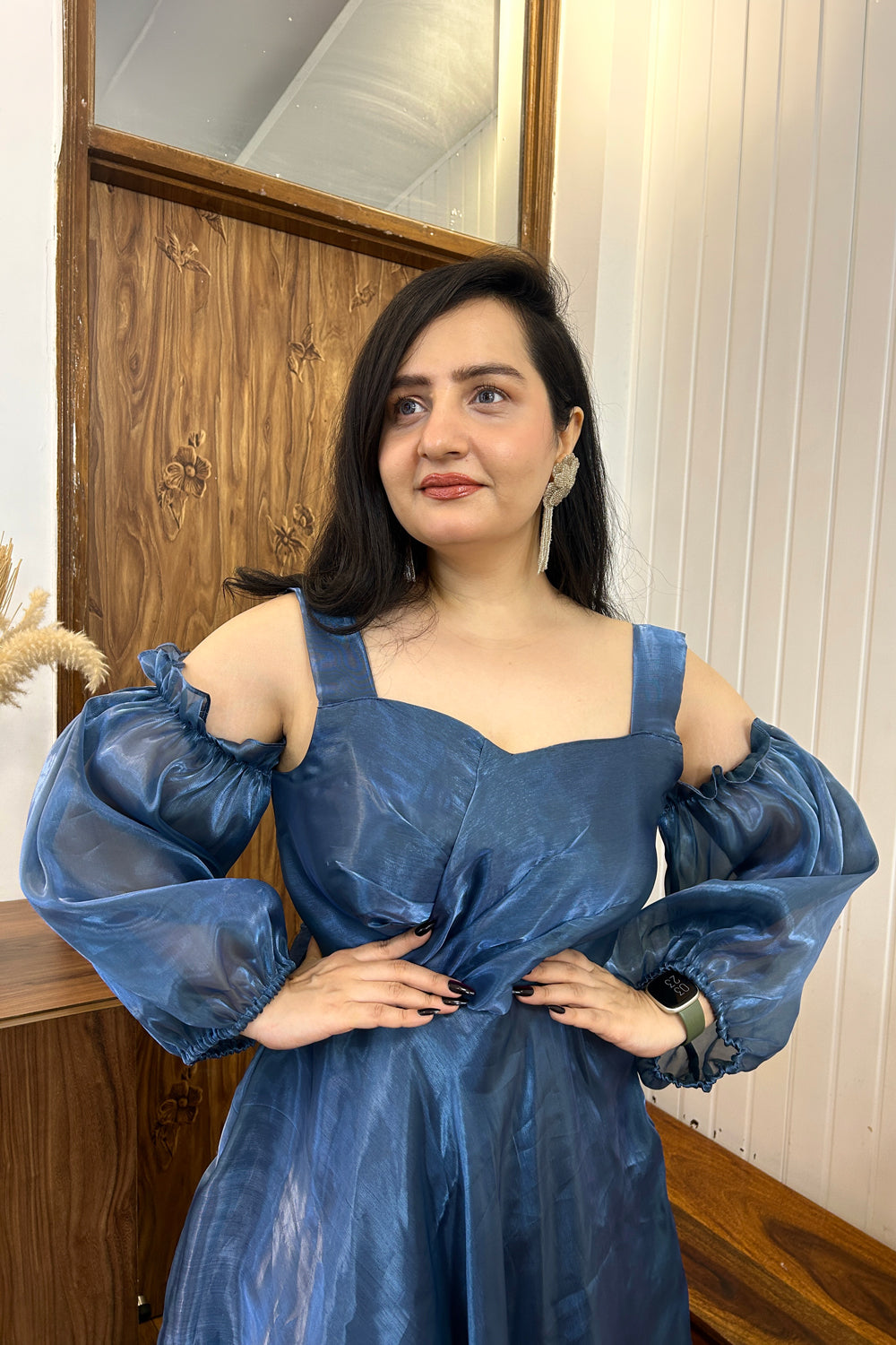 Blue Organza Fit and Flare Dress