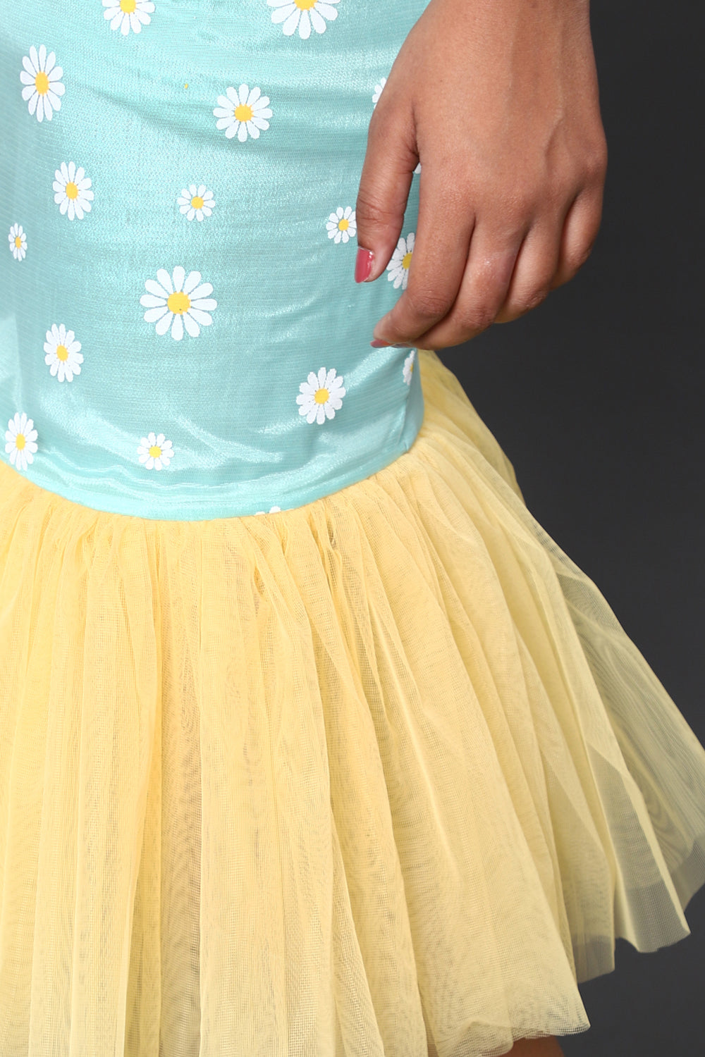 Daisy Printed Net Dress
