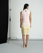 Cotton schiffli skirt top set